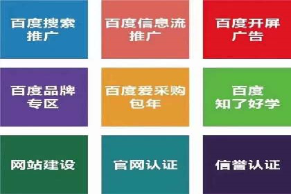 百度SEO推广公司案例汇编：实战技巧全解析